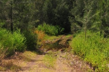Lookout Walk Glen Rock State Forest 019 DSC 0604 Lookout Walk Glen Rock State Forest 019 DSC 0604