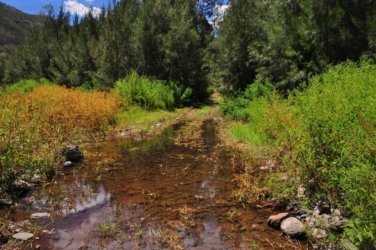Lookout Walk Glen Rock State Forest 023 DSC 0608 Lookout Walk Glen Rock State Forest 023 DSC 0608