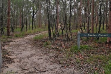 Rocky Knoll Lookout Hardings Paddock 004 DSC 0701 Rocky Knoll Lookout Hardings Paddock 004 DSC 0701