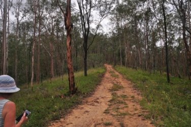Rocky Knoll Lookout Hardings Paddock 012 DSC 0709 Rocky Knoll Lookout Hardings Paddock 012 DSC 0709