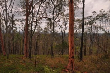 Rocky Knoll Lookout Hardings Paddock 016 DSC 0713 Rocky Knoll Lookout Hardings Paddock 016 DSC 0713