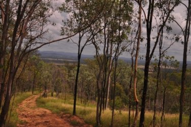 Rocky Knoll Lookout Hardings Paddock 026 DSC 0729 Rocky Knoll Lookout Hardings Paddock 026 DSC 0729