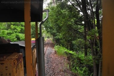 Woodford 005 DSC 0860 Woodford 005 DSC 0860