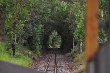 Woodford 006 DSC 0861 Woodford 006 DSC 0861