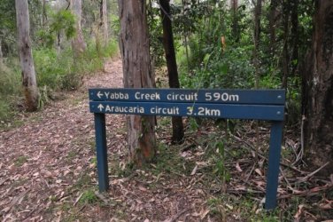 Yabba Creek Curcuit Jimna State Forest 001 DSC 0384 Yabba Creek Curcuit Jimna State Forest 001 DSC 0384