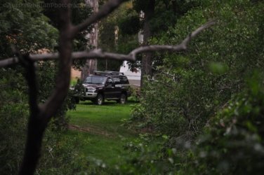 Yabba Creek Curcuit Jimna State Forest 005 DSC 0388 Yabba Creek Curcuit Jimna State Forest 005 DSC 0388