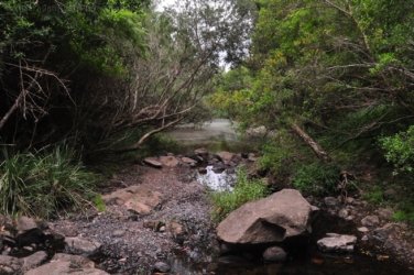 Yabba Creek Curcuit Jimna State Forest 009 DSC 0392 Yabba Creek Curcuit Jimna State Forest 009 DSC 0392