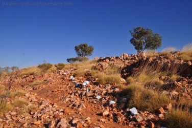 Banka Banka West 008 DSC 0352 Banka Banka West 008 DSC 0352