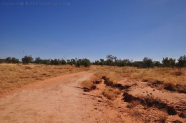 Banka Banka West 013 DSC 0357 Banka Banka West 013 DSC 0357