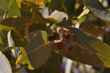 Banka Banka West 014 DSC 0358 Banka Banka West 014 DSC 0358