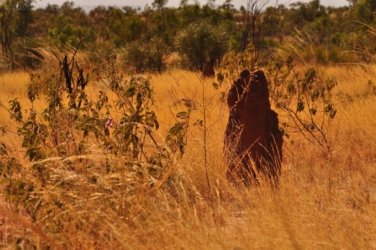 Banka Banka West 020 DSC 0364 Banka Banka West 020 DSC 0364