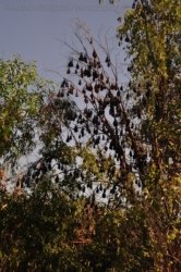 Katherine Gorge 001 Kathreine Gorge 001 DSC 0637 Katherine Gorge 001 Kathreine Gorge 001 DSC 0637