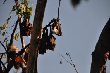 Katherine Gorge 003 Kathreine Gorge 003 DSC 0639 Katherine Gorge 003 Kathreine Gorge 003 DSC 0639