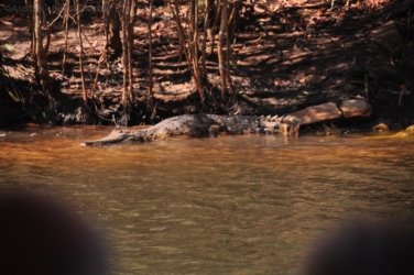 Katherine Gorge 015 Kathreine Gorge 015 DSC 0651 Katherine Gorge 015 Kathreine Gorge 015 DSC 0651