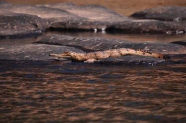 Katherine Gorge 050 Kathreine Gorge 050 DSC 0686 Katherine Gorge 050 Kathreine Gorge 050 DSC 0686