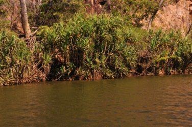 Katherine Gorge 079 Kathreine Gorge 079 DSC 0715 Katherine Gorge 079 Kathreine Gorge 079 DSC 0715