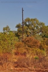 Larrimah 011 DSC 0420 Larrimah 011 DSC 0420