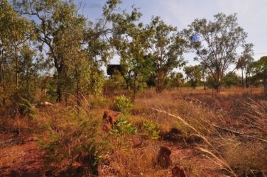 Larrimah 012 DSC 0421 Larrimah 012 DSC 0421