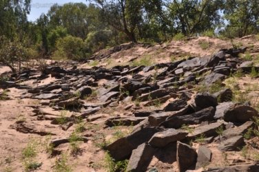 Manbulloo Homestead 045 DSC 0737 Manbulloo Homestead 045 DSC 0737