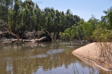 Manbulloo Homestead 046 DSC 0738 Manbulloo Homestead 046 DSC 0738