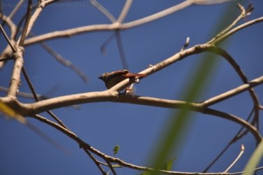 Manbulloo Homestead 058 DSC 0750 Manbulloo Homestead 058 DSC 0750