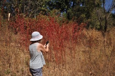 Manbulloo Homestead 104 DSC 0796 Manbulloo Homestead 104 DSC 0796