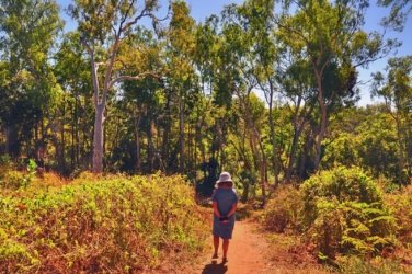 Manbulloo Homestead Caravan Park 003 DSC 0613 JPG 1 Manbulloo Homestead Caravan Park 003 DSC 0613 JPG 1