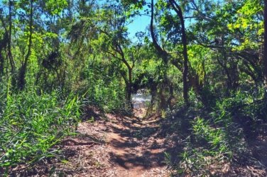 Manbulloo Homestead Caravan Park 008 DSC 0618 JPG 1 Manbulloo Homestead Caravan Park 008 DSC 0618 JPG 1