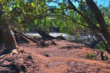 Manbulloo Homestead Caravan Park 009 DSC 0619 JPG 1 Manbulloo Homestead Caravan Park 009 DSC 0619 JPG 1