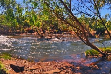 Manbulloo Homestead Caravan Park 011 DSC 0621 JPG Manbulloo Homestead Caravan Park 011 DSC 0621 JPG