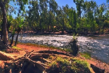 Manbulloo Homestead Caravan Park 012 DSC 0622 JPG Manbulloo Homestead Caravan Park 012 DSC 0622 JPG
