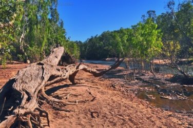 Manbulloo Homestead Caravan Park 015 DSC 0625 JPG Manbulloo Homestead Caravan Park 015 DSC 0625 JPG