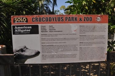 Darwin Crocodilus Park 021 DSC 0881 scaled Darwin Crocodilus Park 021 DSC 0881 scaled