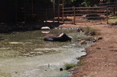 Darwin Crocodilus Park 029 DSC 0889 scaled Darwin Crocodilus Park 029 DSC 0889 scaled