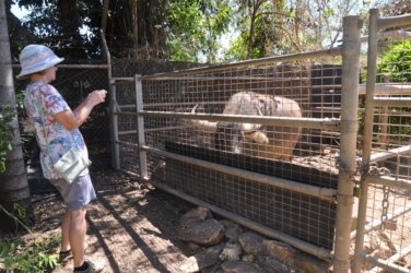 Darwin Crocodilus Park 031 DSC 0891 scaled Darwin Crocodilus Park 031 DSC 0891 scaled