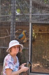 Darwin Crocodilus Park 042 DSC 0902 scaled Darwin Crocodilus Park 042 DSC 0902 scaled