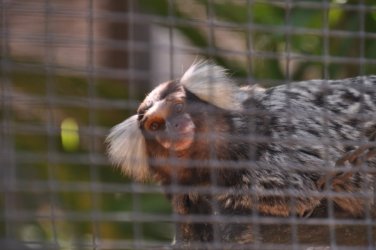Darwin Crocodilus Park 050 DSC 0910 scaled Darwin Crocodilus Park 050 DSC 0910 scaled