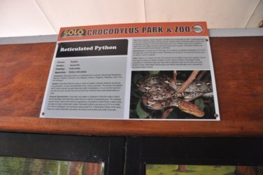 Darwin Crocodilus Park 069 DSC 0929 scaled Darwin Crocodilus Park 069 DSC 0929 scaled