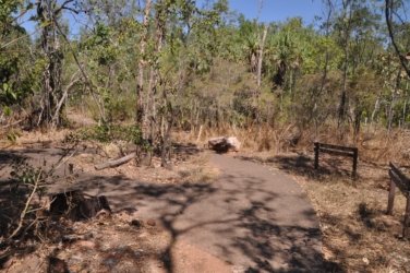 Litchfield Florence Falls and Buley Rockhole001 Litchfield Florence Falls 029 DSC 0178 scaled Litchfield Florence Falls and Buley Rockhole001 Litchfield Florence Falls 029 DSC 0178 scaled