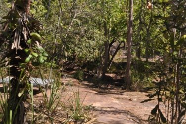 Litchfield Florence Falls and Buley Rockhole002 Litchfield Florence Falls 030 DSC 0179 scaled Litchfield Florence Falls and Buley Rockhole002 Litchfield Florence Falls 030 DSC 0179 scaled