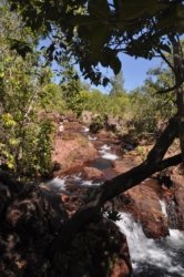 Litchfield Florence Falls and Buley Rockhole009 Litchfield Florence Falls 037 DSC 0186 scaled Litchfield Florence Falls and Buley Rockhole009 Litchfield Florence Falls 037 DSC 0186 scaled