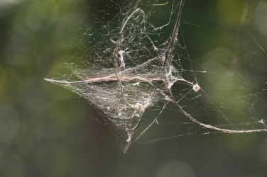 Litchfield Florence Falls and Buley Rockhole018 Litchfield Florence Falls 046 DSC 0195 scaled Litchfield Florence Falls and Buley Rockhole018 Litchfield Florence Falls 046 DSC 0195 scaled