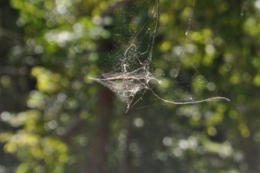 Litchfield Florence Falls and Buley Rockhole019 Litchfield Florence Falls 047 DSC 0196 scaled Litchfield Florence Falls and Buley Rockhole019 Litchfield Florence Falls 047 DSC 0196 scaled