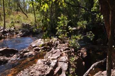 Litchfield Florence Falls and Buley Rockhole025 Litchfield Florence Falls 053 DSC 0202 scaled Litchfield Florence Falls and Buley Rockhole025 Litchfield Florence Falls 053 DSC 0202 scaled
