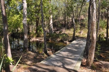 Litchfield Florence Falls and Buley Rockhole029 Litchfield Florence Falls 057 DSC 0206 scaled Litchfield Florence Falls and Buley Rockhole029 Litchfield Florence Falls 057 DSC 0206 scaled