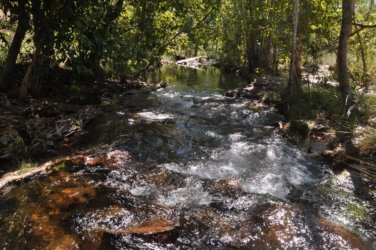 Litchfield Florence Falls and Buley Rockhole031 Litchfield Florence Falls 059 DSC 0208 scaled Litchfield Florence Falls and Buley Rockhole031 Litchfield Florence Falls 059 DSC 0208 scaled