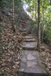 Litchfield Florence Falls and Buley Rockhole036 Litchfield Florence Falls 064 DSC 0213 scaled Litchfield Florence Falls and Buley Rockhole036 Litchfield Florence Falls 064 DSC 0213 scaled