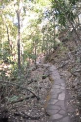 Litchfield Florence Falls and Buley Rockhole037 Litchfield Florence Falls 065 DSC 0214 scaled Litchfield Florence Falls and Buley Rockhole037 Litchfield Florence Falls 065 DSC 0214 scaled
