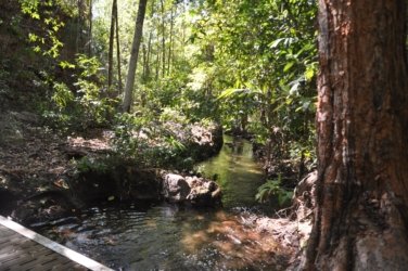 Litchfield Florence Falls and Buley Rockhole038 Litchfield Florence Falls 066 DSC 0215 scaled Litchfield Florence Falls and Buley Rockhole038 Litchfield Florence Falls 066 DSC 0215 scaled