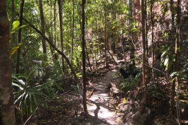Litchfield Florence Falls and Buley Rockhole040 Litchfield Florence Falls 068 DSC 0217 scaled Litchfield Florence Falls and Buley Rockhole040 Litchfield Florence Falls 068 DSC 0217 scaled